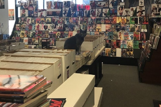 Your guide to San Antonio's top 3 comic book shops