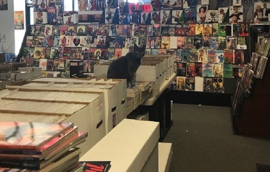 Your guide to San Antonio's top 3 comic book shops