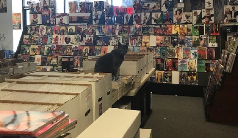 Your guide to San Antonio's top 3 comic book shops