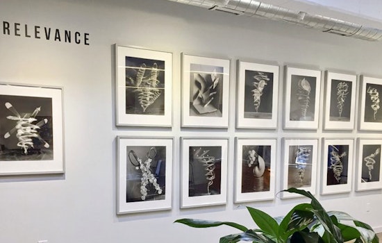 Art gallery Foto Relevance debuts in Montrose