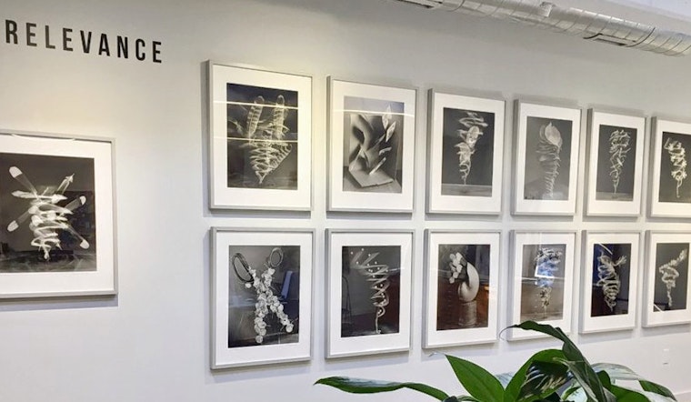 Art gallery Foto Relevance debuts in Montrose