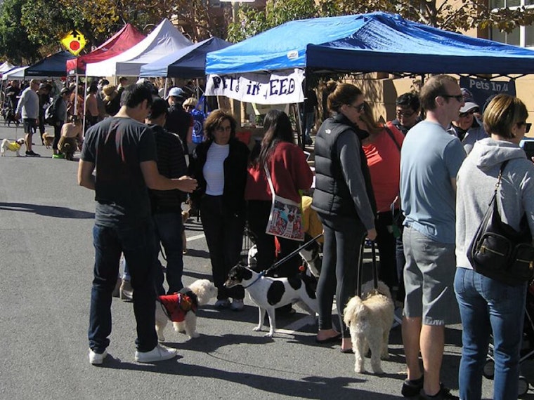 Pawtrero's 'Dog Day Afternoon' Street Fest & Fundraiser Returns This Sunday
