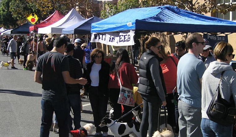 Pawtrero's 'Dog Day Afternoon' Street Fest & Fundraiser Returns This Sunday