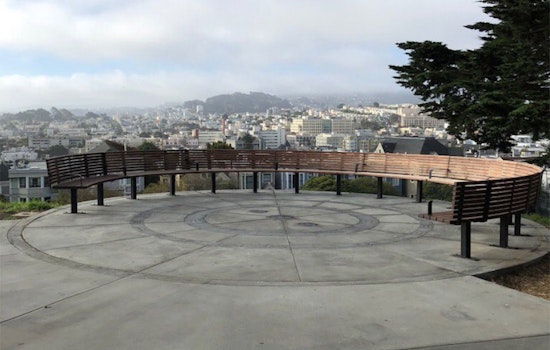 Alta Plaza Park reopens after yearlong irrigation makeover
