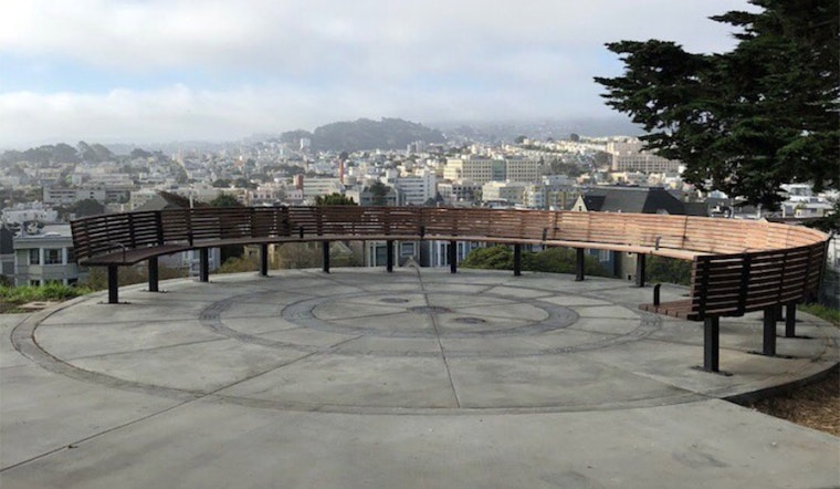 Alta Plaza Park reopens after yearlong irrigation makeover