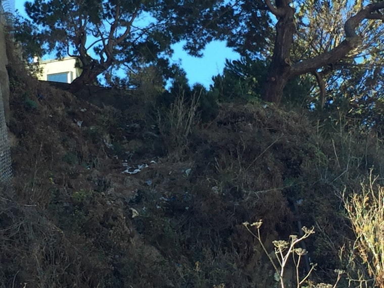 Telegraph Hill Trash To Remain Until Improvements Start