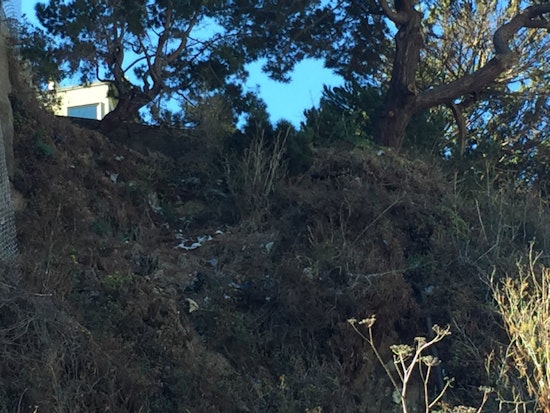 Telegraph Hill Trash To Remain Until Improvements Start