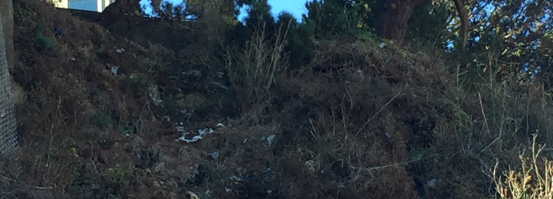 Telegraph Hill Trash To Remain Until Improvements Start