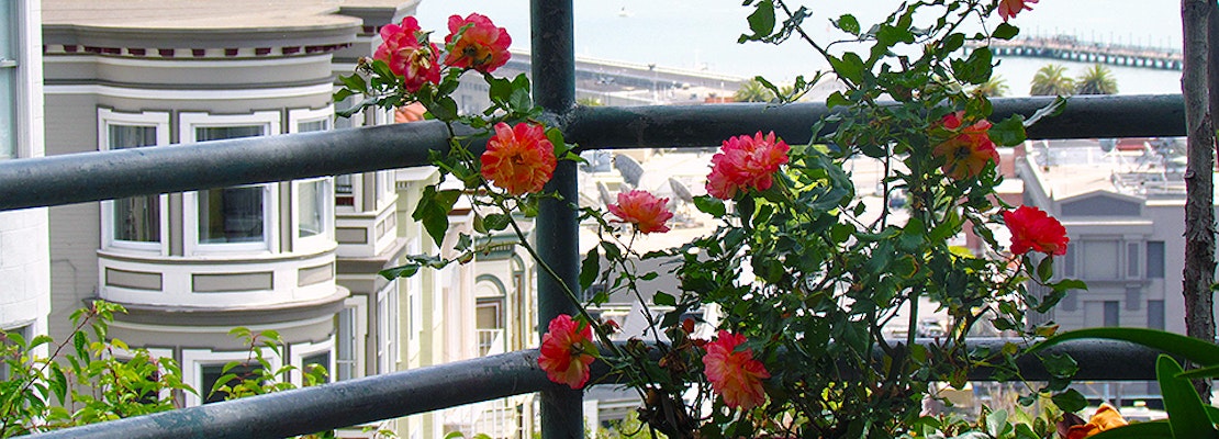 North Beach Week: D3 Results, RIP John Coppola, Weekend Events And More