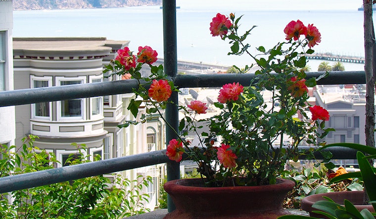 North Beach Week: D3 Results, RIP John Coppola, Weekend Events And More