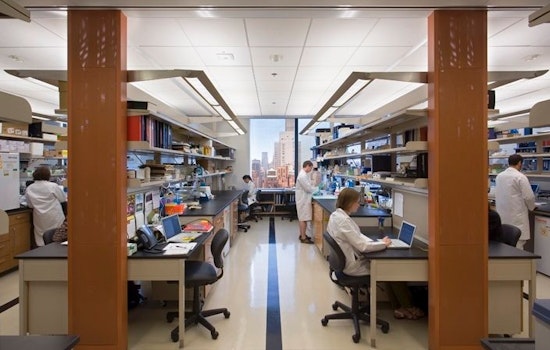 Jobs report: Which occupations rank highly in NYC, by hiring demand?