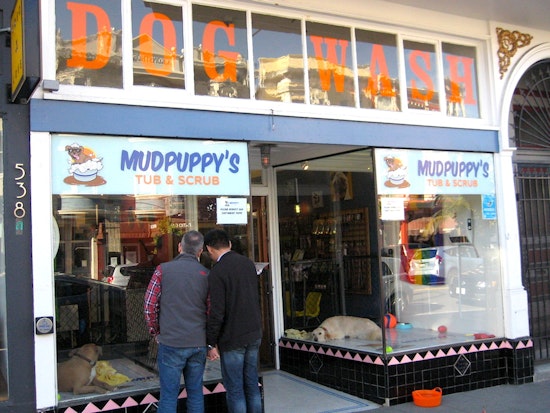 Meet Mudpuppy's Tub & Scrub, The Castro's Canine Baths