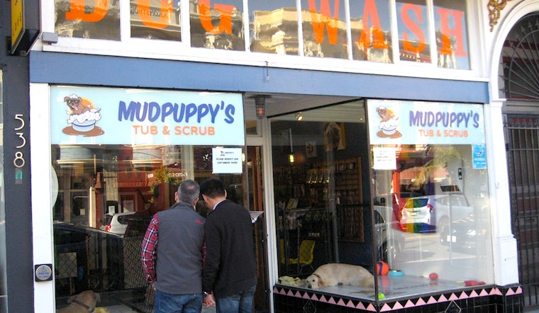 Meet Mudpuppy's Tub & Scrub, The Castro's Canine Baths