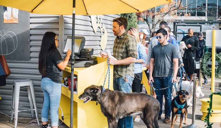 Eat, drink, exercise: Get to know Fort Worth's newest businesses