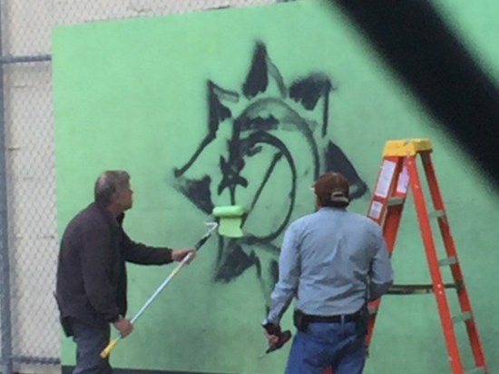 School Vandalism Suspect Arrested, Graffiti Not Hate Crime Related