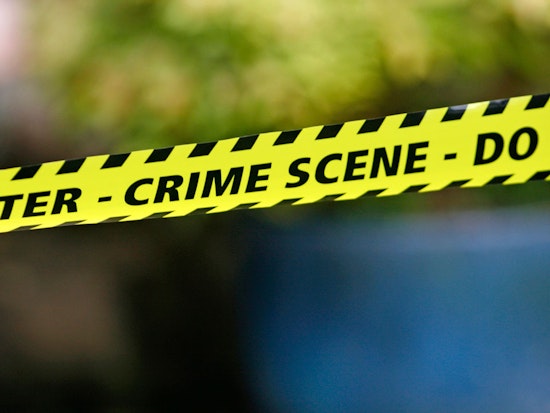 Trio Charged With Golden Gate Park Murder Pleads Not Guilty