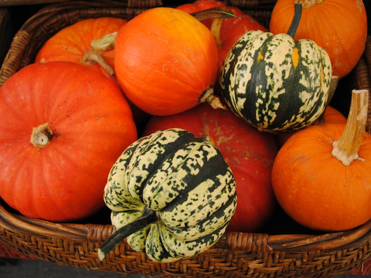 Mark Your Calendars For Pre-Thanksgiving Farmers Markets