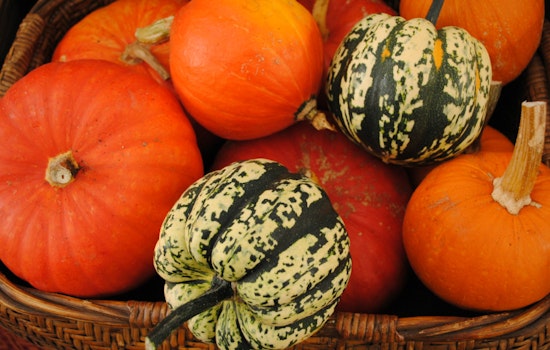 Mark Your Calendars For Pre-Thanksgiving Farmers Markets