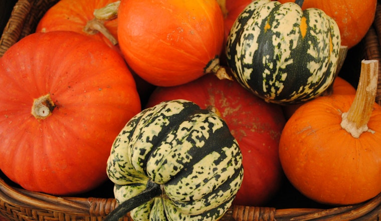 Mark Your Calendars For Pre-Thanksgiving Farmers Markets