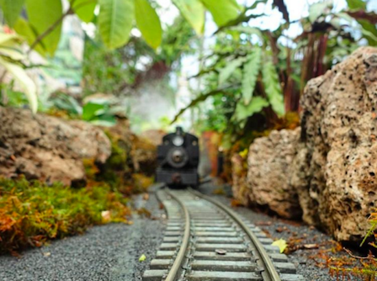 Upper Haight Week: Sewage Woes, News Of Note, Model Trains & More