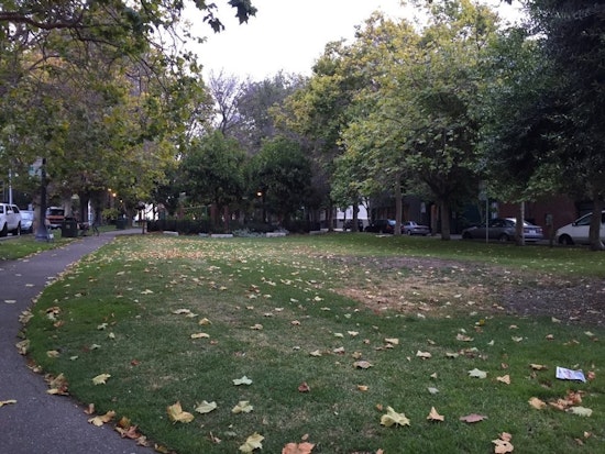Neighbors Petition Against South Park Tree Removals