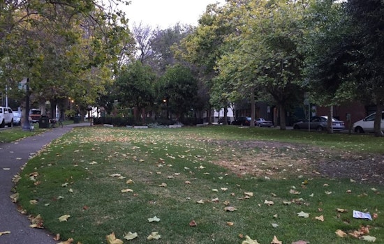 Neighbors Petition Against South Park Tree Removals