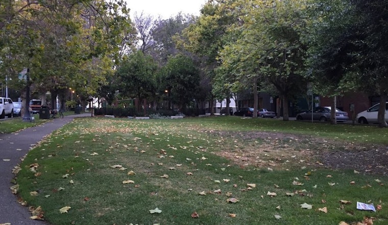 Neighbors Petition Against South Park Tree Removals