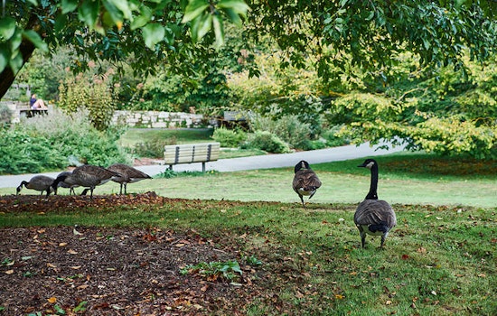 SF Botanical Garden Offers Free Thanksgiving Admission For All