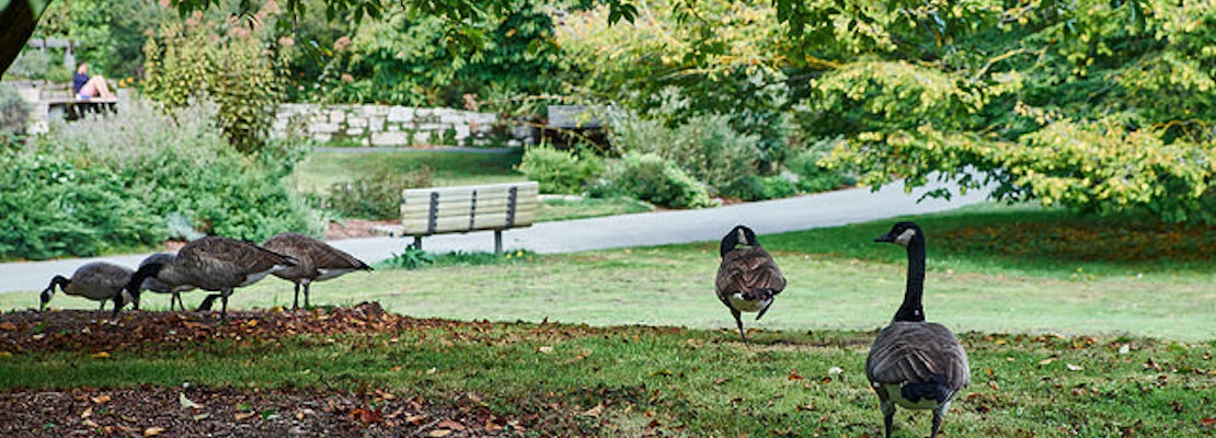 SF Botanical Garden Offers Free Thanksgiving Admission For All