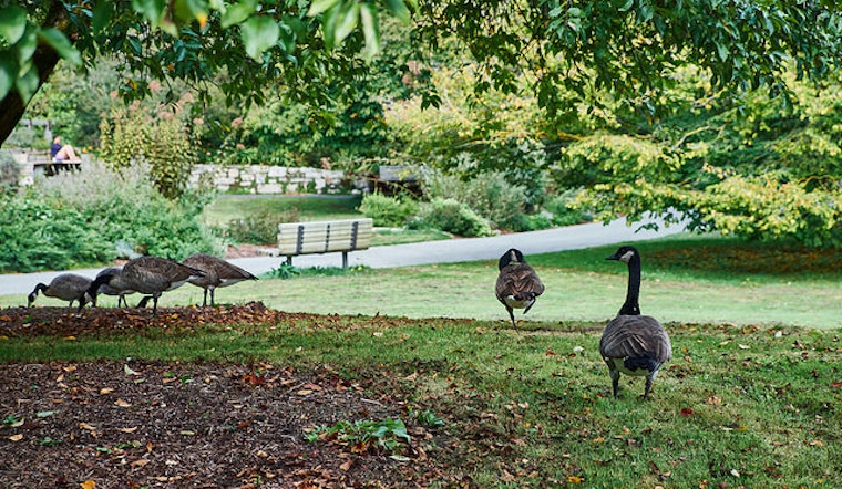 SF Botanical Garden Offers Free Thanksgiving Admission For All