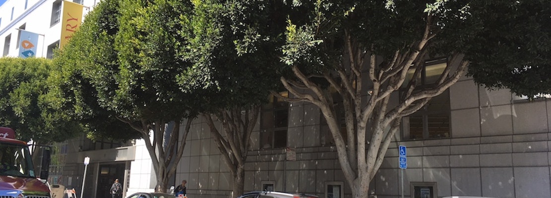 Petition aims to halt tree removals around Civic Center's Main Library