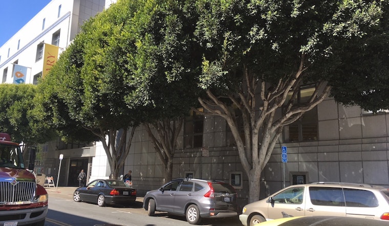 Petition aims to halt tree removals around Civic Center's Main Library