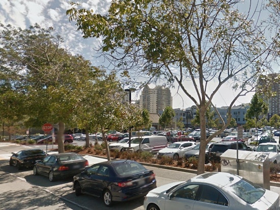 $10K-15K Antique Violin Stolen From Car On Webster Street