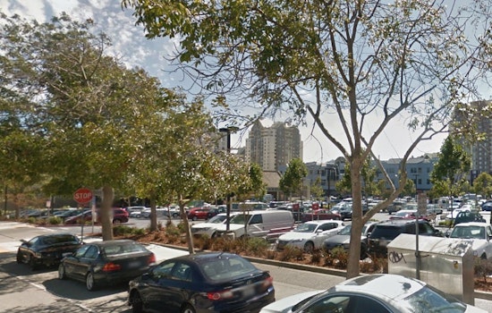 $10K-15K Antique Violin Stolen From Car On Webster Street