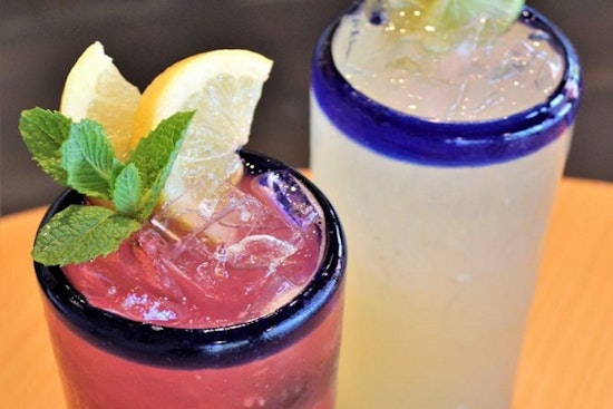Catch up on cacti with the 3 freshest new businesses to open in Sacramento