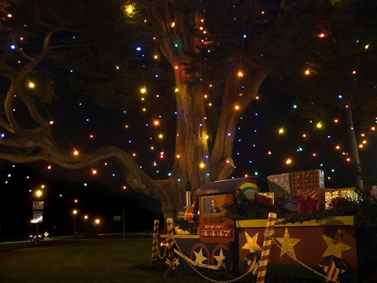 Tomorrow: Golden Gate Park's 86th Annual Holiday Tree Lighting