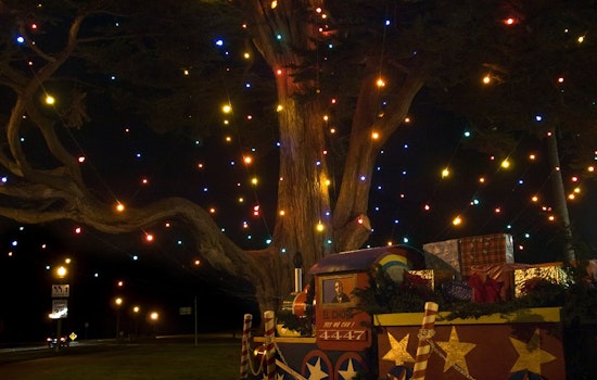 Tomorrow: Golden Gate Park's 86th Annual Holiday Tree Lighting