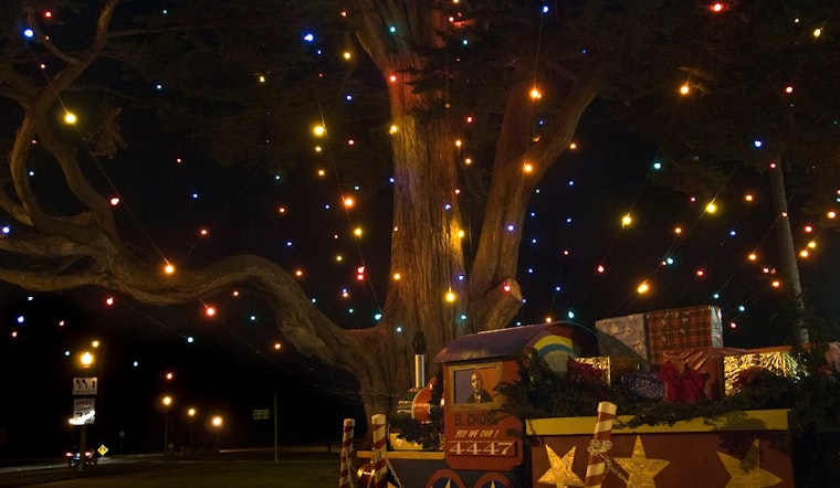 Tomorrow: Golden Gate Park's 86th Annual Holiday Tree Lighting