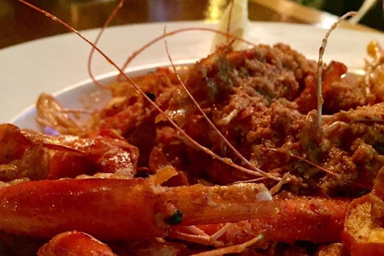 New eatery offers Mexican fare, margaritas in Edgewater