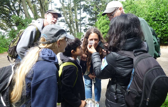Cal Academy's Dr. Rebecca Johnson Talks Bay Area Citizen Science