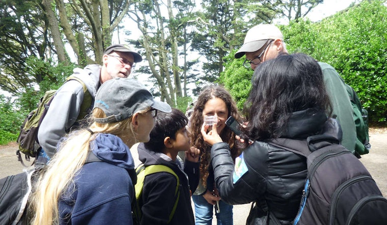 Cal Academy's Dr. Rebecca Johnson Talks Bay Area Citizen Science