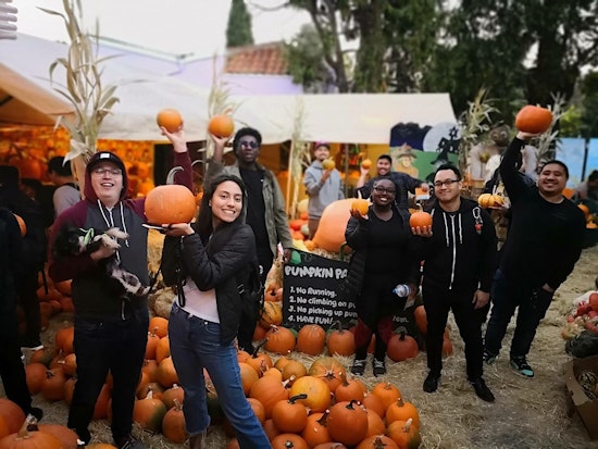 Oakland weekend guide: Piedmont pumpkin patch, Dogfest and Boo at the Zoo