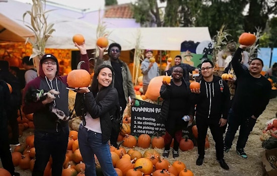 Oakland weekend guide: Piedmont pumpkin patch, Dogfest and Boo at the Zoo