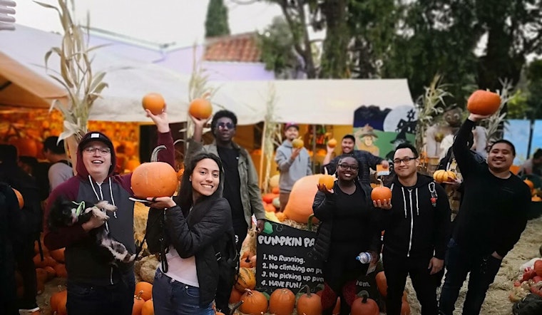 Oakland weekend guide: Piedmont pumpkin patch, Dogfest and Boo at the Zoo