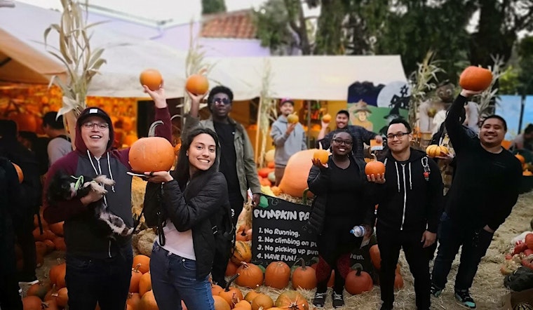 Oakland weekend guide: Piedmont pumpkin patch, Dogfest and Boo at the Zoo