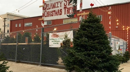 Buy A Christmas Tree, Do Good At Delancey Street’s New Octavia Lot