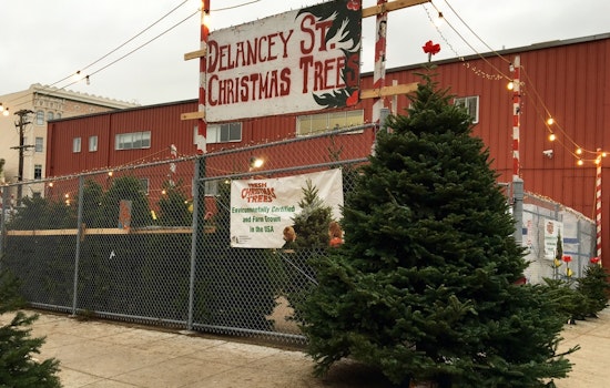 Buy A Christmas Tree, Do Good At Delancey Street’s New Octavia Lot