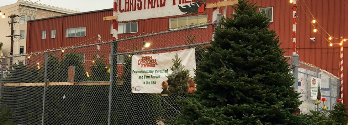 Buy A Christmas Tree, Do Good At Delancey Street’s New Octavia Lot