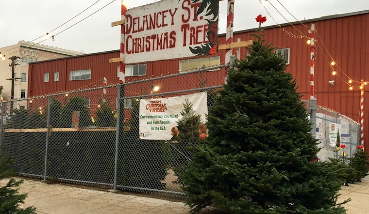 Buy A Christmas Tree, Do Good At Delancey Street’s New Octavia Lot