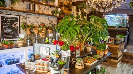 New shop ILLExotics sells tropical plants and animals in East Passyunk